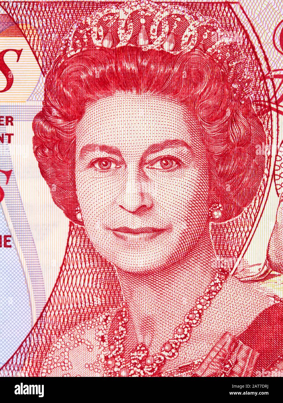 Portrait de la reine Elizabeth II de Falkland Islands Pound Banque D'Images