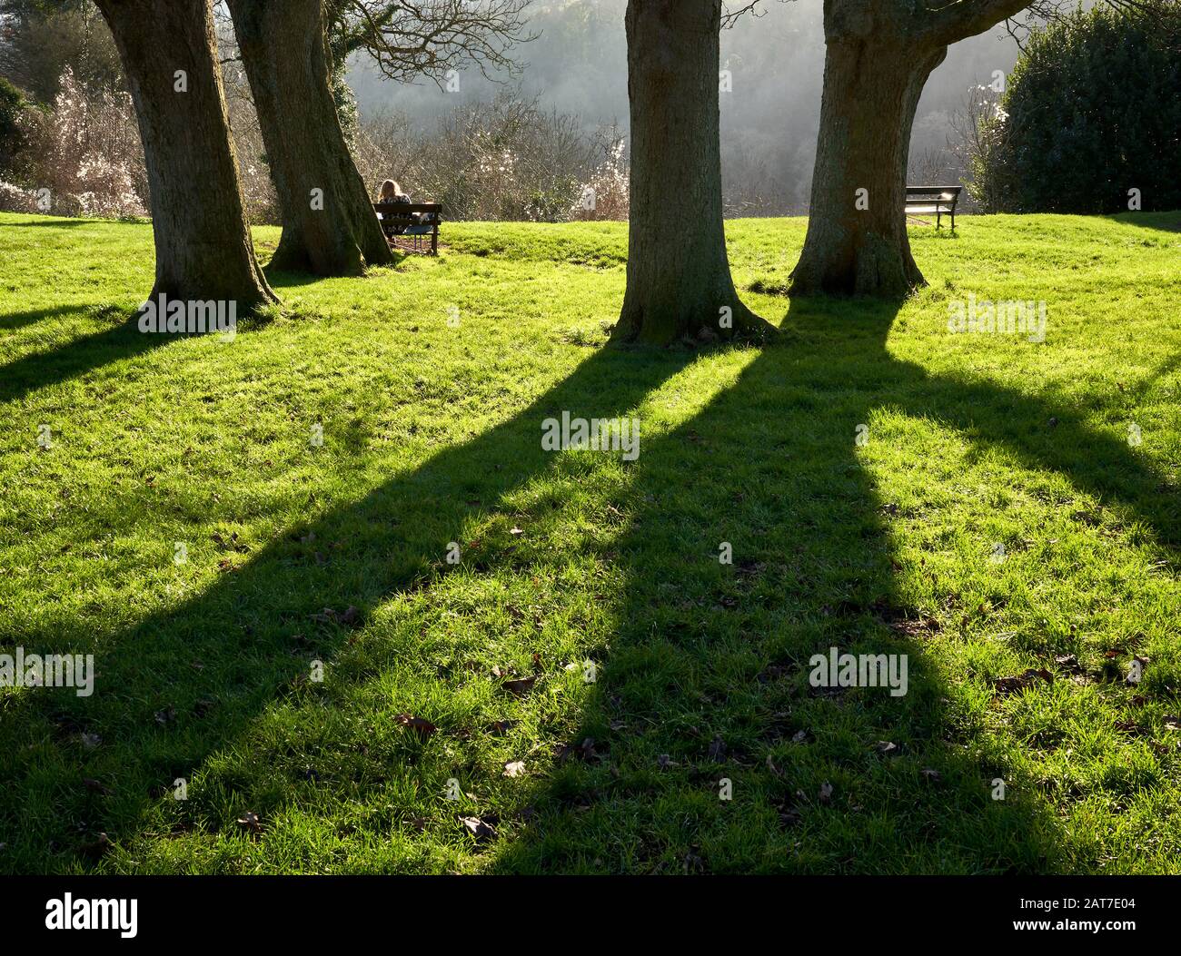 Soleil printanier dans la gorge d'Avon près du pont suspendu Clifton Bristol UK Banque D'Images