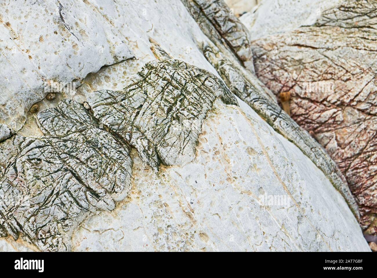 Gros plan de magnifiques roches érodées texturées de couleur grise et rouge sur un littoral des Philippines Banque D'Images