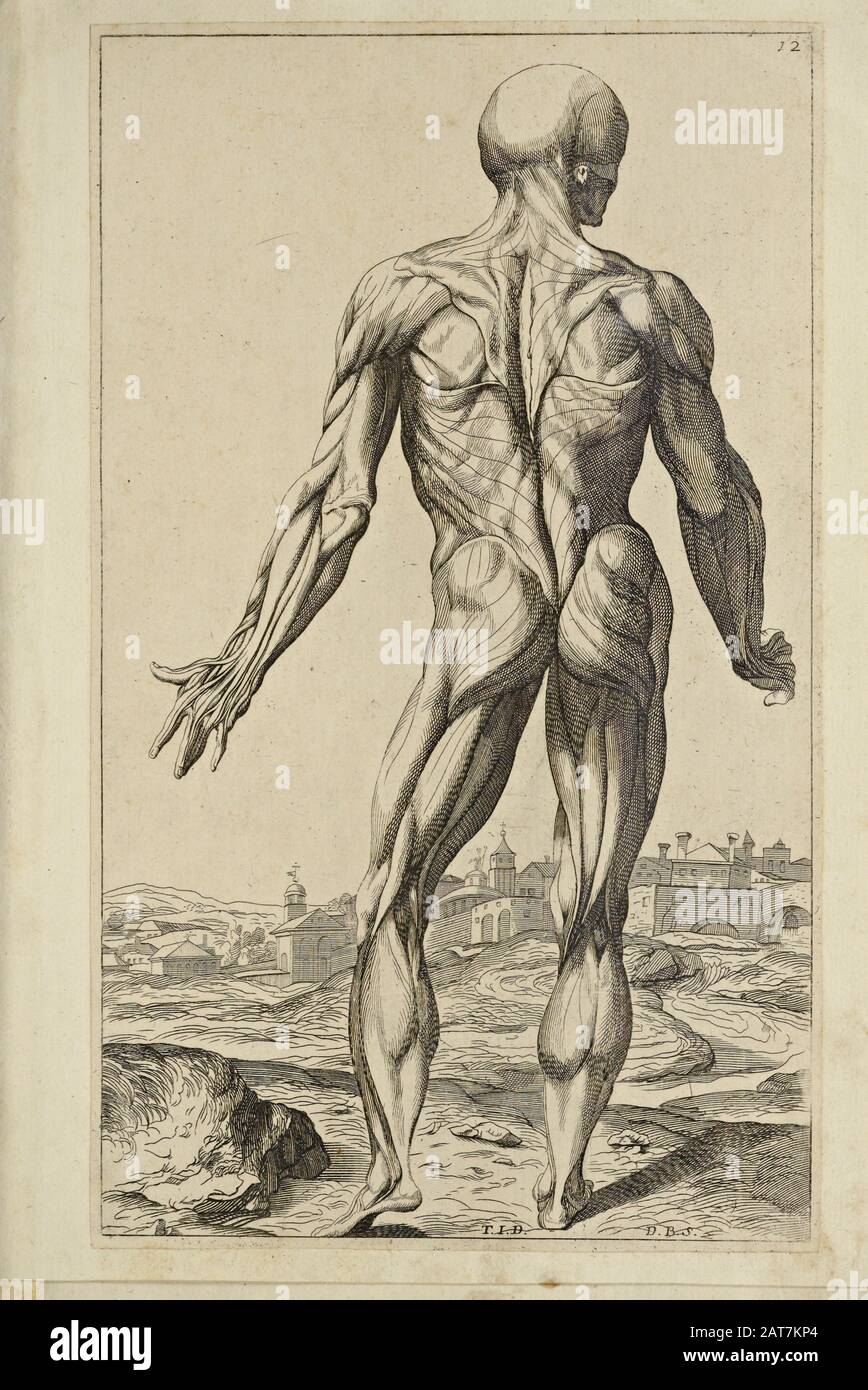 Imprimé bois sur le dos intégral pour homme à l'ouverture du livre d'anatomie humaine 'Notomie di Titiano' Imprimé en Italie en 1670 Banque D'Images