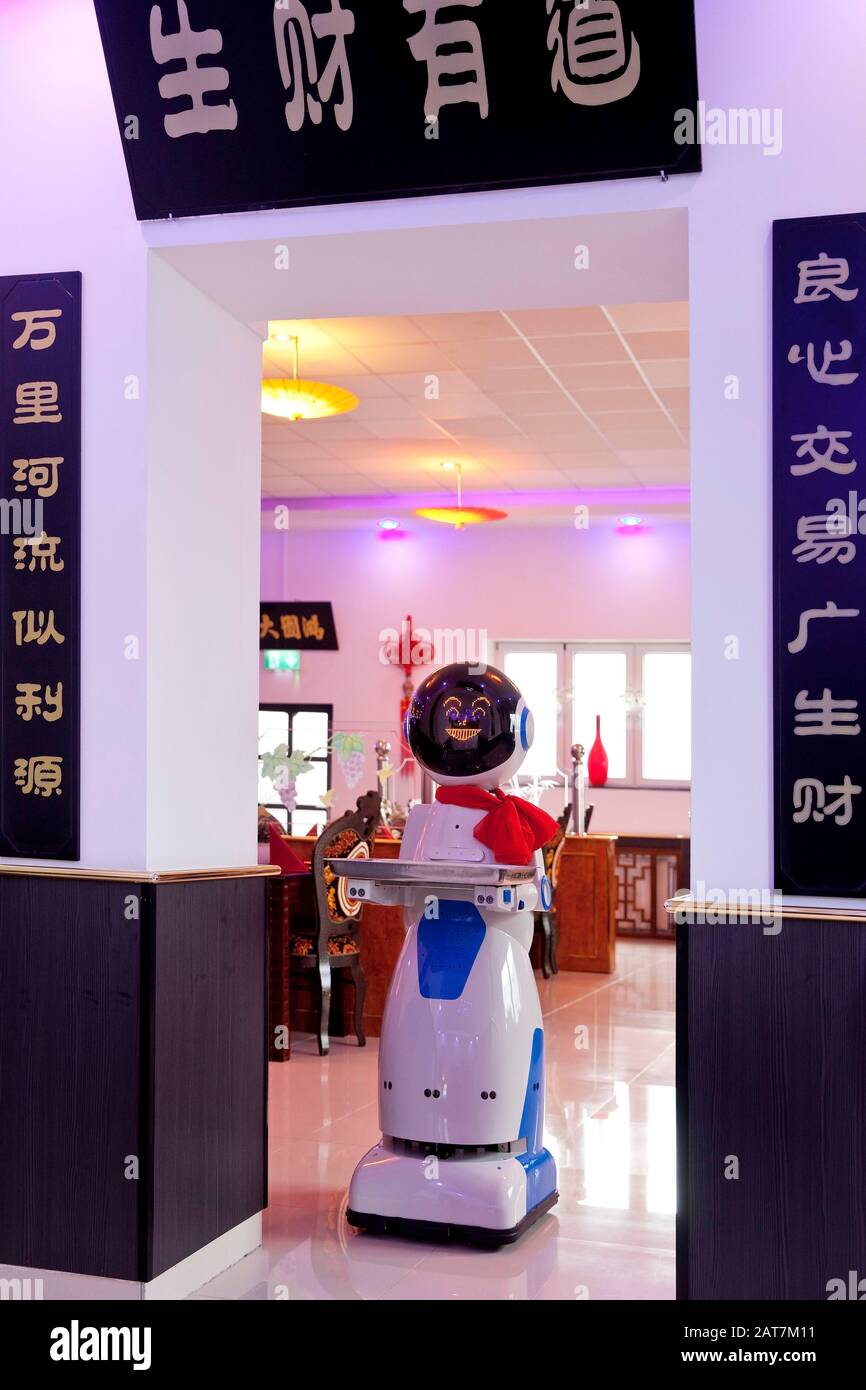 Robot de service de restauration avec plateau dans un restaurant chinois, Allemagne Banque D'Images Robot de service de restauration avec plateau dans un restaurant chinois, Allemagne Banque D'Images
