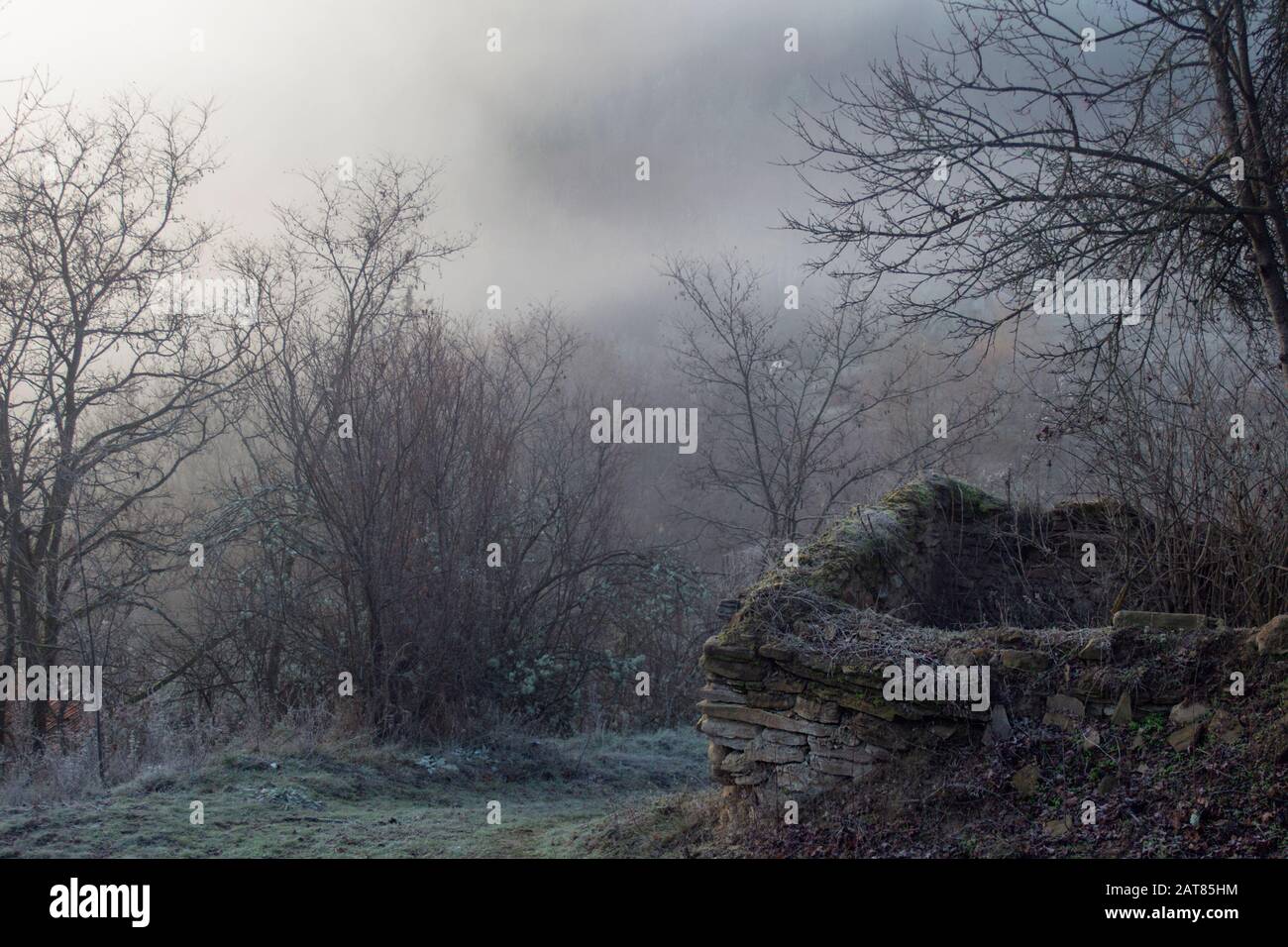 Une série de paysages brumeux en hiver. Un vieux mur de pierre près d'un sentier gelé sur fond d'arbres dans la brume avant le lever du soleil. Banque D'Images