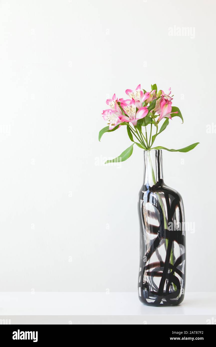 Scène avec une grande alstroemeria rose dans un vase en verre sur la table sur fond de mur blanc. Design élégant et simple avec espace de copie. Banque D'Images