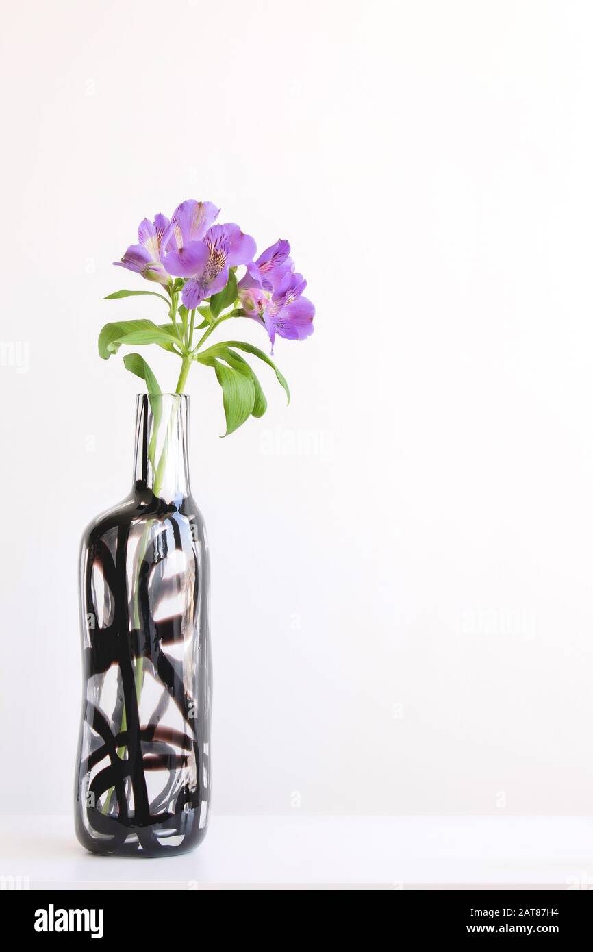 Scène avec de grandes alstroemeria violettes dans un vase en verre sur la table sur fond de mur blanc. Design élégant et simple avec espace de copie. Banque D'Images