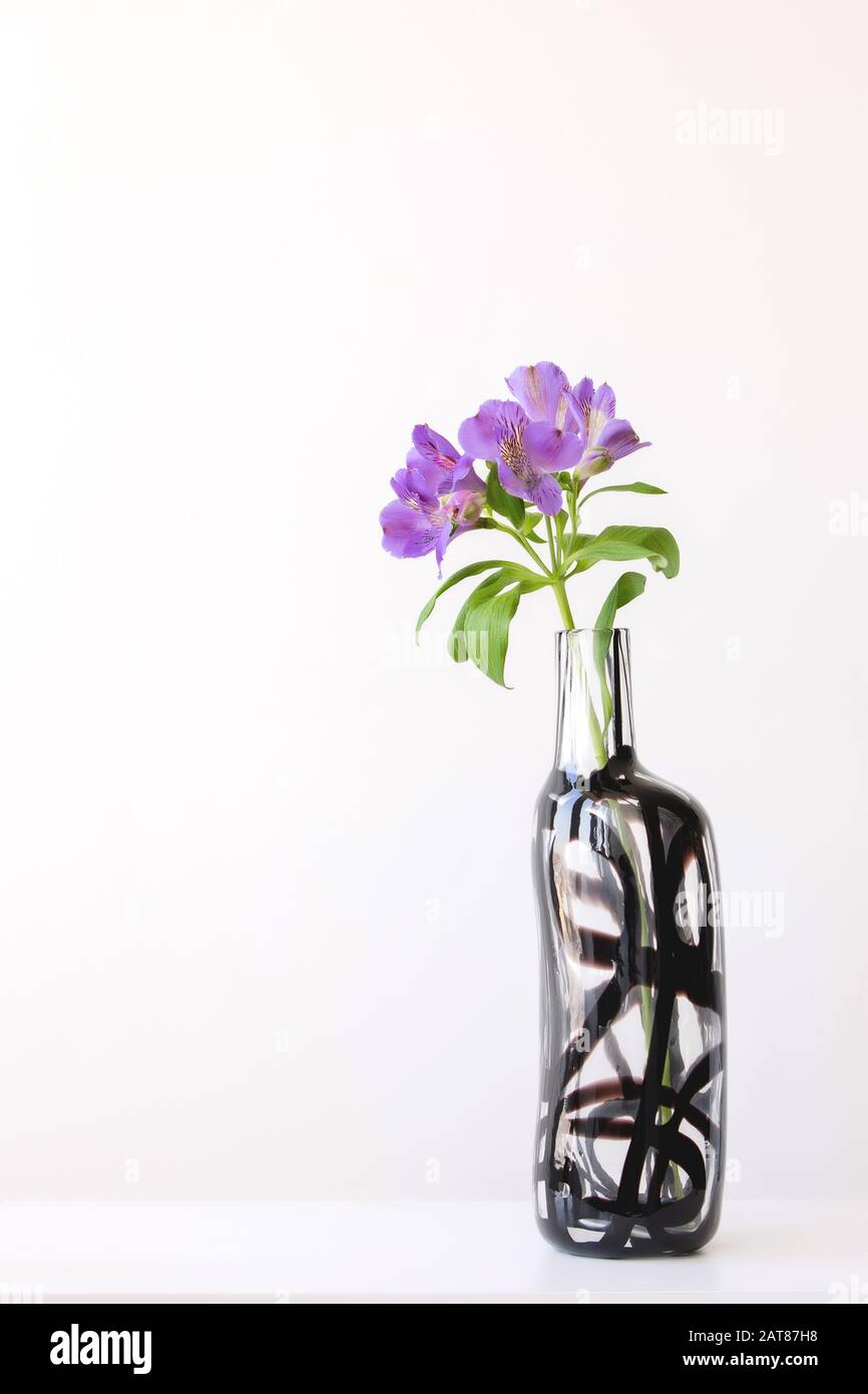 Scène avec de grandes alstroemeria violettes dans un vase en verre sur la table sur fond de mur blanc. Design élégant et simple avec espace de copie. Banque D'Images