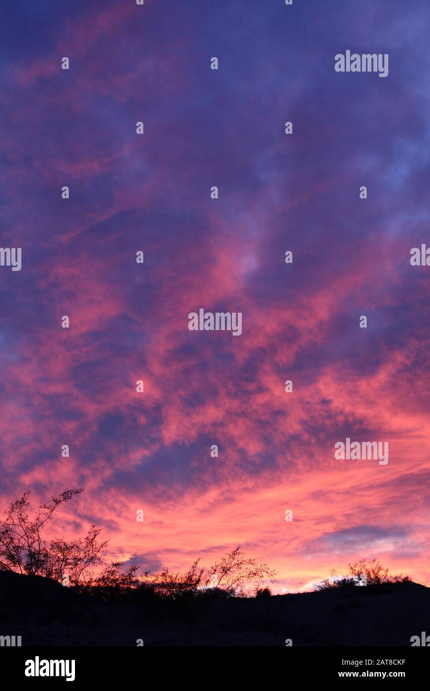 Coucher de soleil, en marge de 29 palmiers, au-dessus de l'écologie indigène du désert de Mojave sud, nous donne un aperçu harmonieux du respect si nécessaire pour notre monde. Banque D'Images