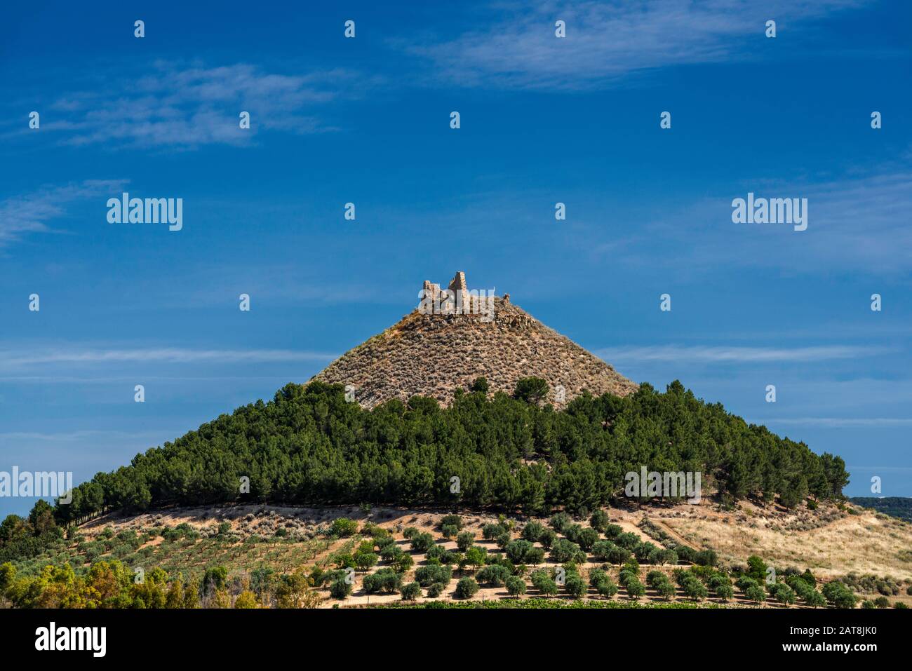 Castello di Marmilla, château médiéval du XIIe siècle au sommet d'une colline près de Las Plassas, plaine de Campidano, région de Marmilla, Sardaigne, Italie Banque D'Images