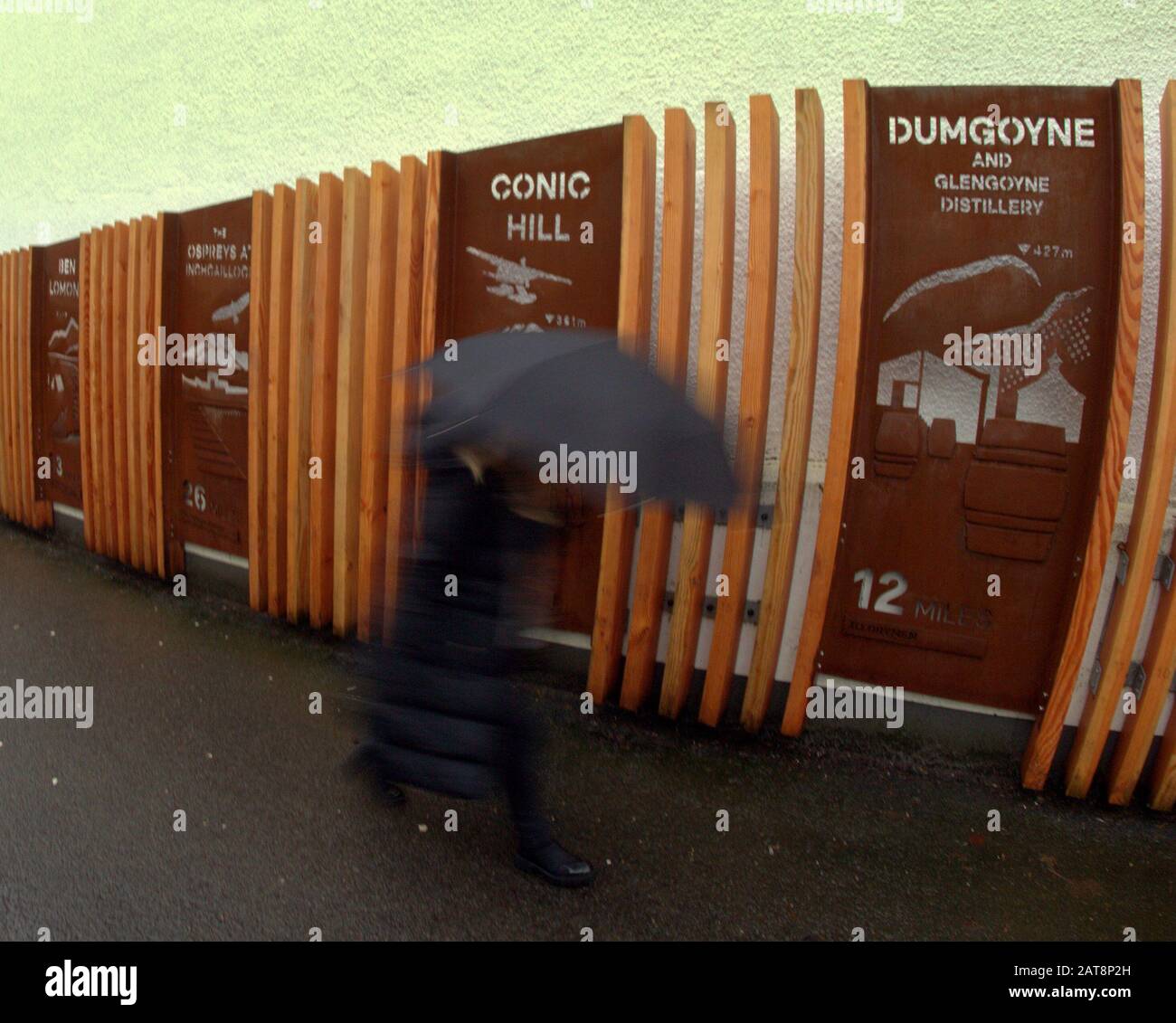 Milngavie, Glasgow, Ecosse, Royaume-Uni 31 janvier 2020: Royaume-Uni Météo: Humide et venteux à Milngavie comme la forte pluie a fortement chuté à Milngavie à l'entrée de la voie de haute-terre ouest. Copywrite Gerard Ferry/ Alay Live News Banque D'Images