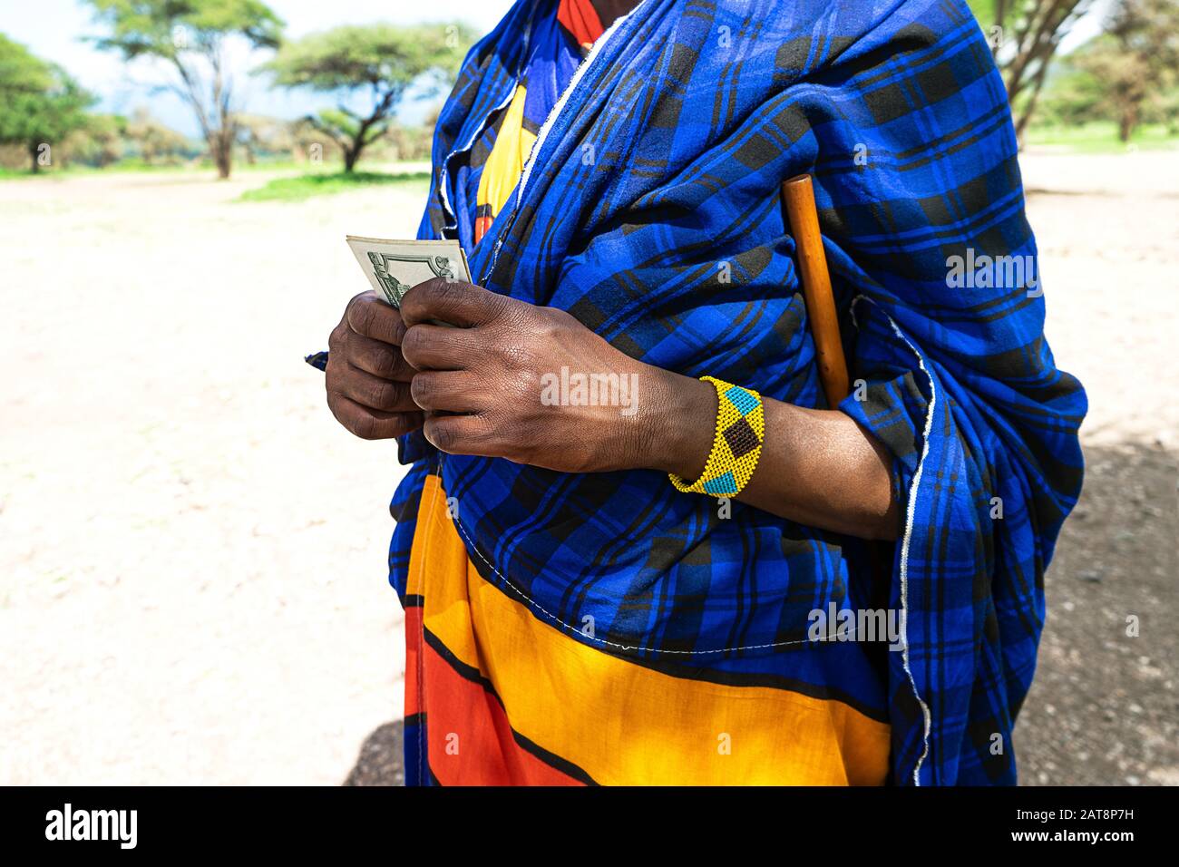 Homme africain comptant de l'argent, comptant des dollars. Gros plan. Banque D'Images