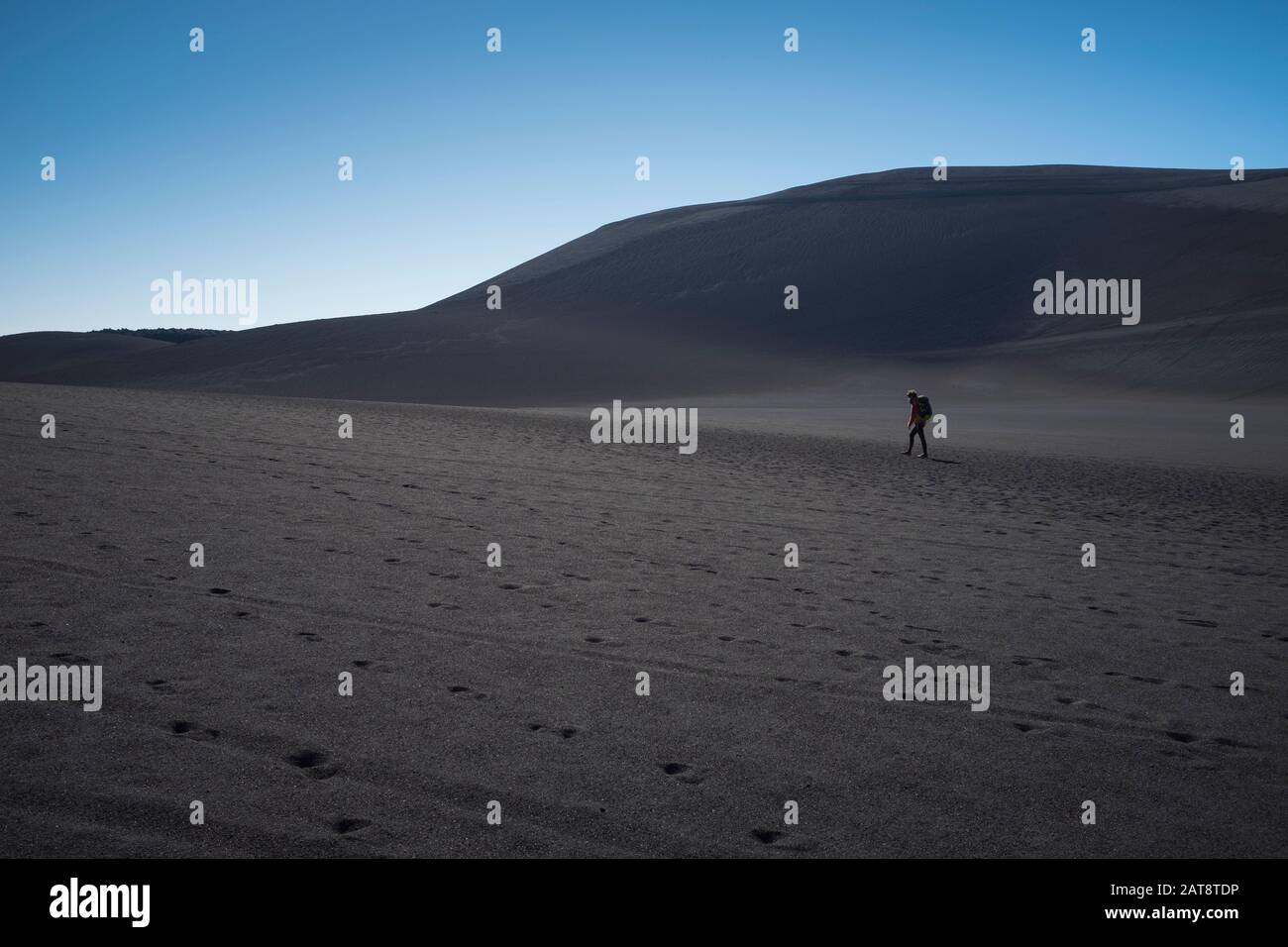 Femme montée au cratère de Noël dans le volcan Lonquimay. Réserve Nationale De Malalcahuello-Nalcas. Région d'Araucania. Chili. Banque D'Images