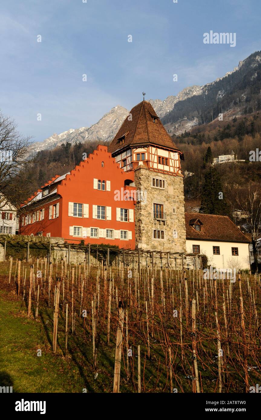 Hofkellerei des Fürsten von Liechtenstein (la cave à vin du Prince du Liechtenstein) à la périphérie de la petite ville de Vaduz au Liechtenstein. Banque D'Images