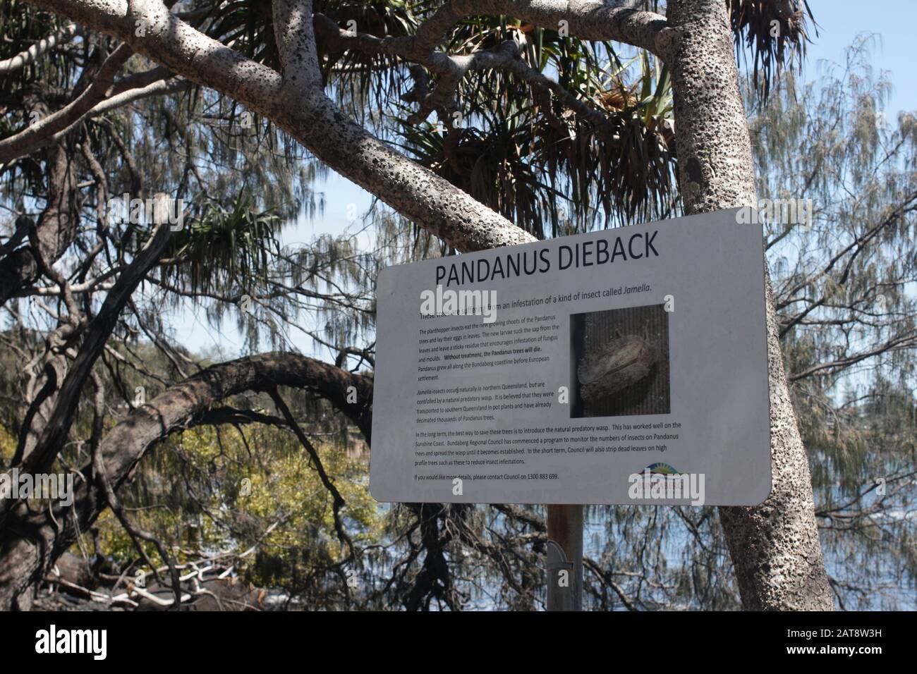 Lun Repos, Queensland, Australie Banque D'Images