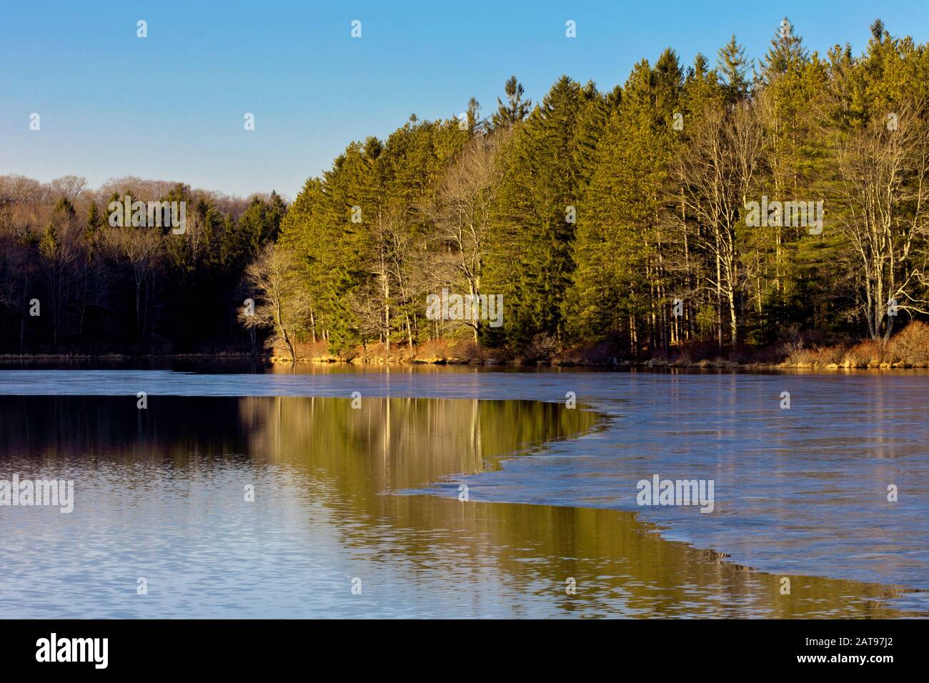 Pendant un bref hiver chaud sort Promis Land Lake dans les montagnes Pocono de Pennsylvanie, les paillettes forment alors une nouvelle couche de glace. Banque D'Images