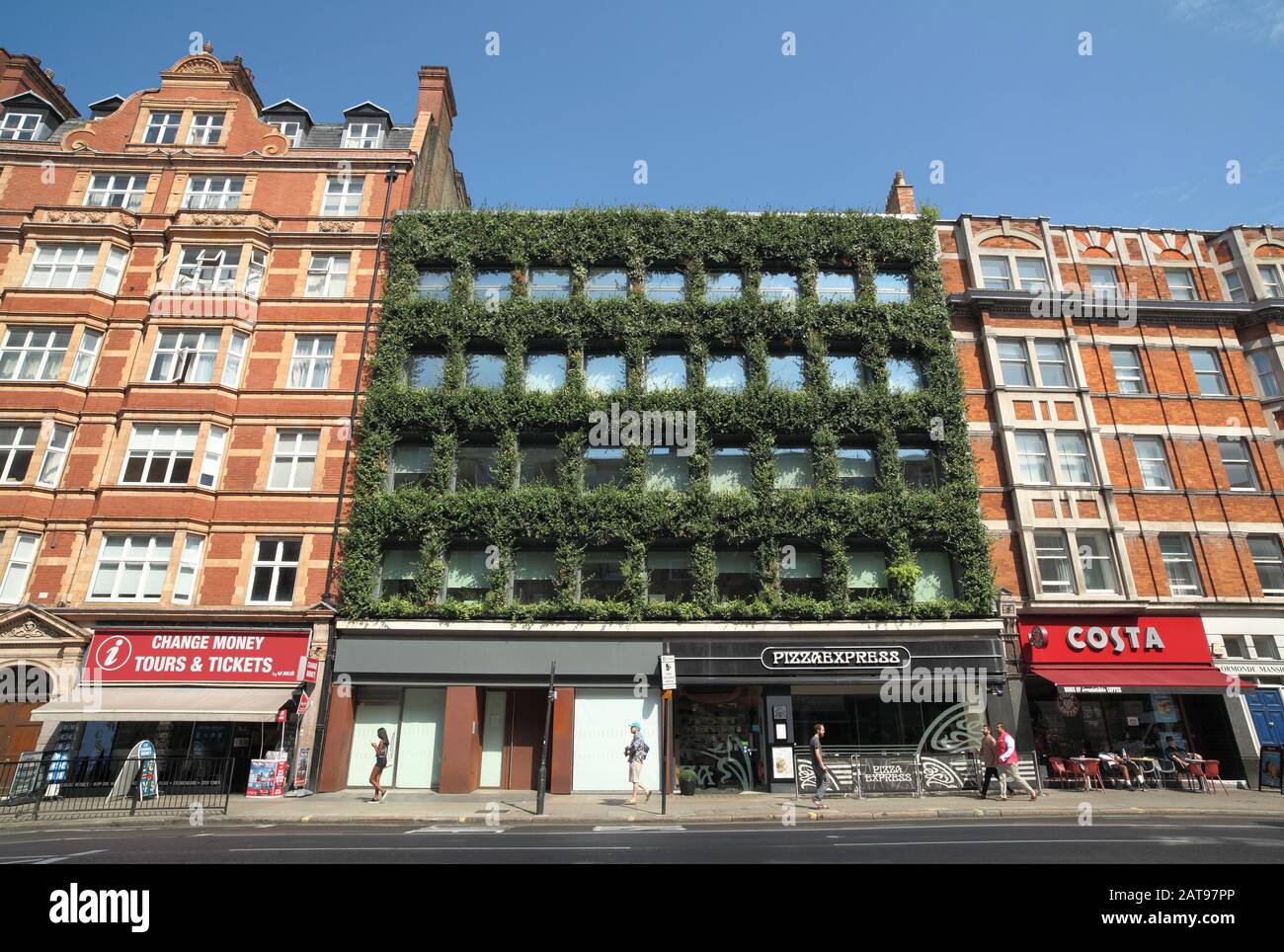 Un « mur vivant » sur Synergy House, Southampton Row, Londres. Banque D'Images