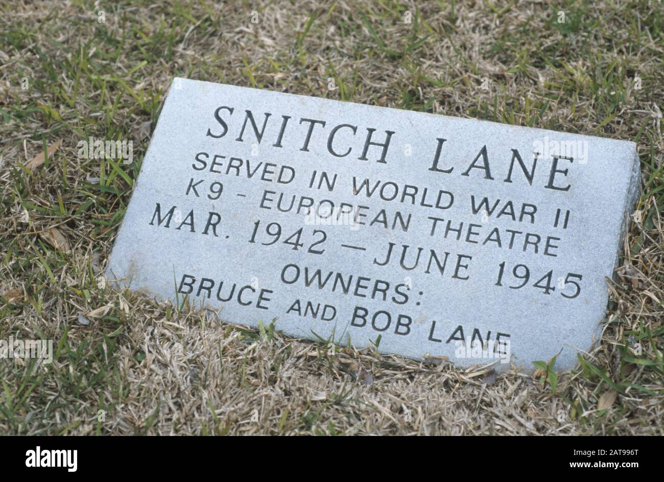 Comté de Navarro, Texas : Mémorial des anciens combattants de la Seconde Guerre mondiale pour les anciens combattants de la région de Blooming Grove. La famille Lane s'est portée volontaire pour servir son animal de compagnie, le Berger allemand Snych, dans l'effort de guerre de l'Armée de terre. Après la guerre, Snych est retourné à la famille à Blooming Grove. ©Bob Daemmrich Banque D'Images