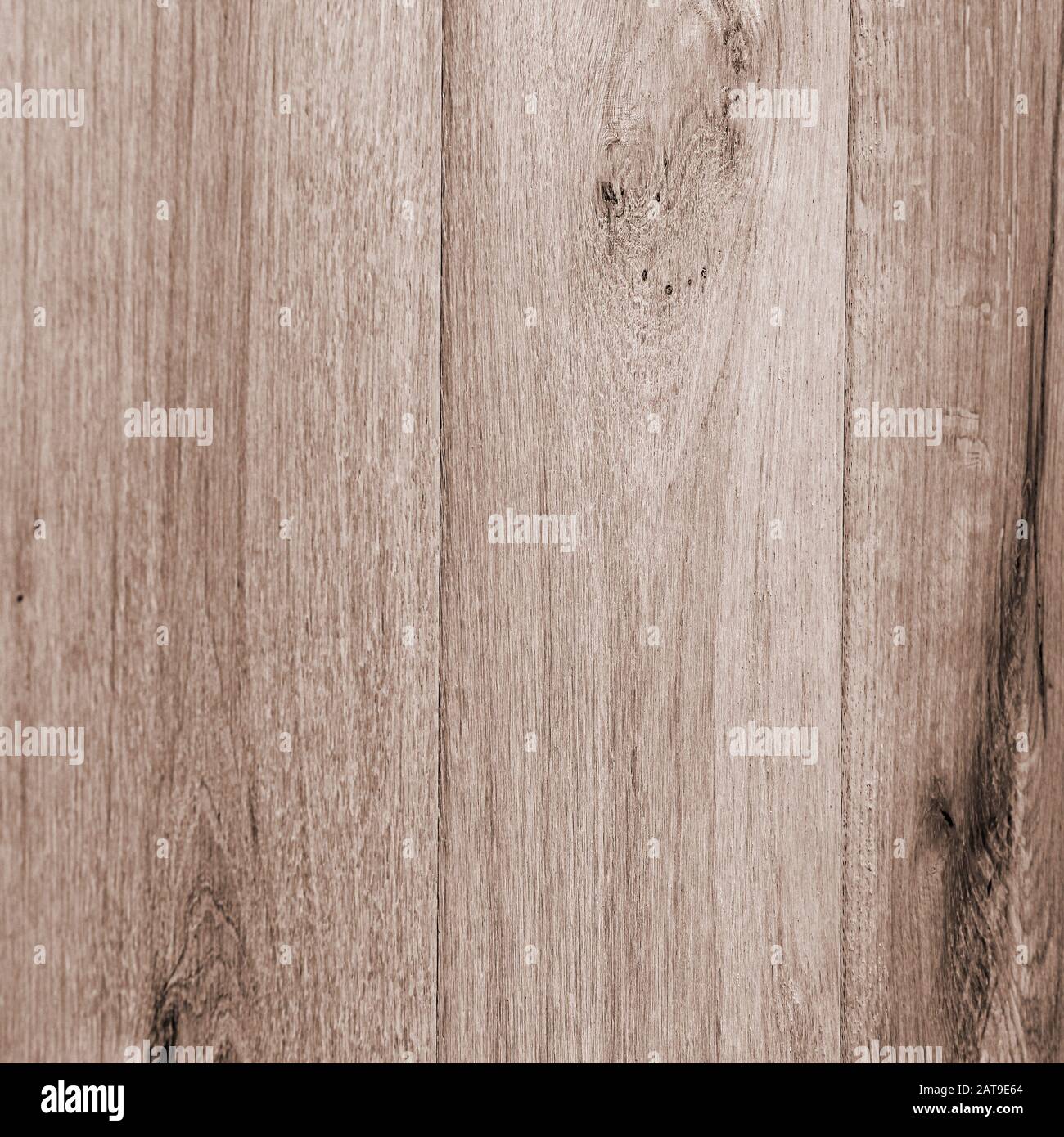 Fond de texture de grain de sol en bois clair en 12 x 12 pour la ressource de conception graphique. Les planches en bois sont de couleur claire et présentent des lignes verticales. Banque D'Images