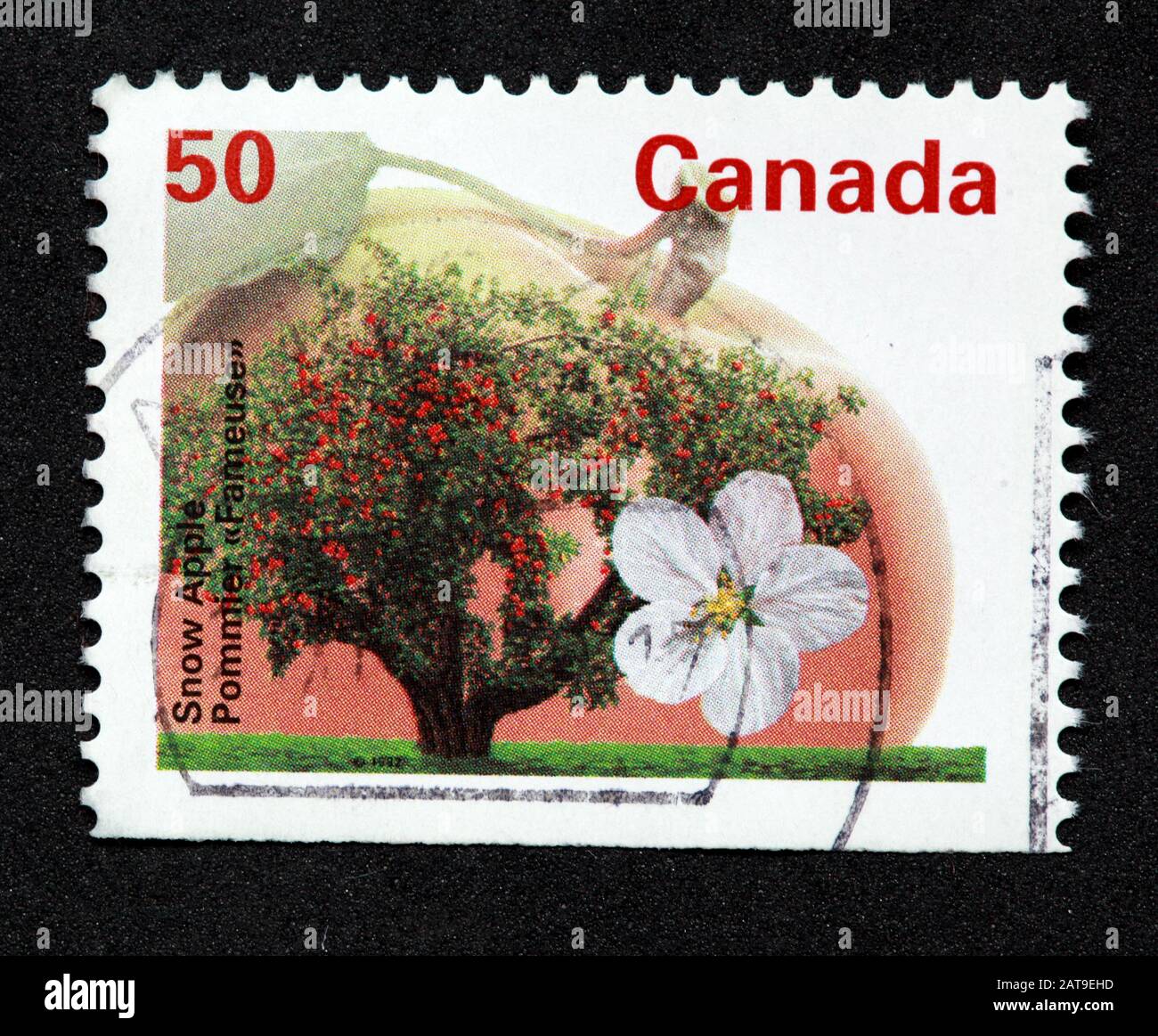 Timbre canadien, Timbre Canada, postes Canada, timbre utilisé, Canada 50 c, 50 %, pomme de neige, fleur, arbre Banque D'Images
