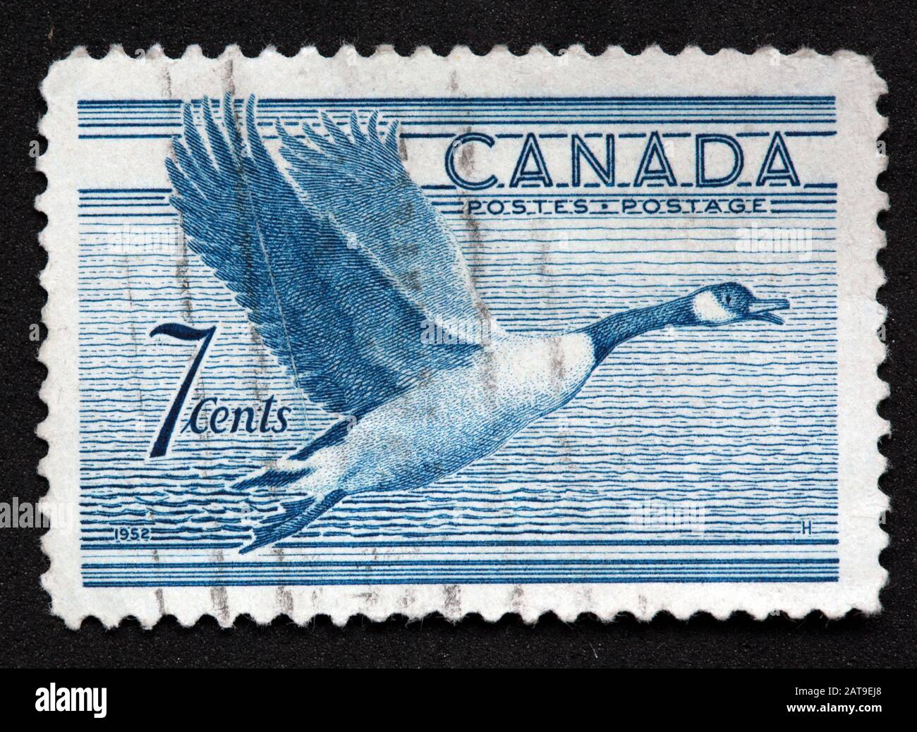 Timbre canadien, Timbre Canada, postes Canada, timbre utilisé, timbre bleu, Canada 7c., 1952, oie du Canada, postes, affranchissement Banque D'Images