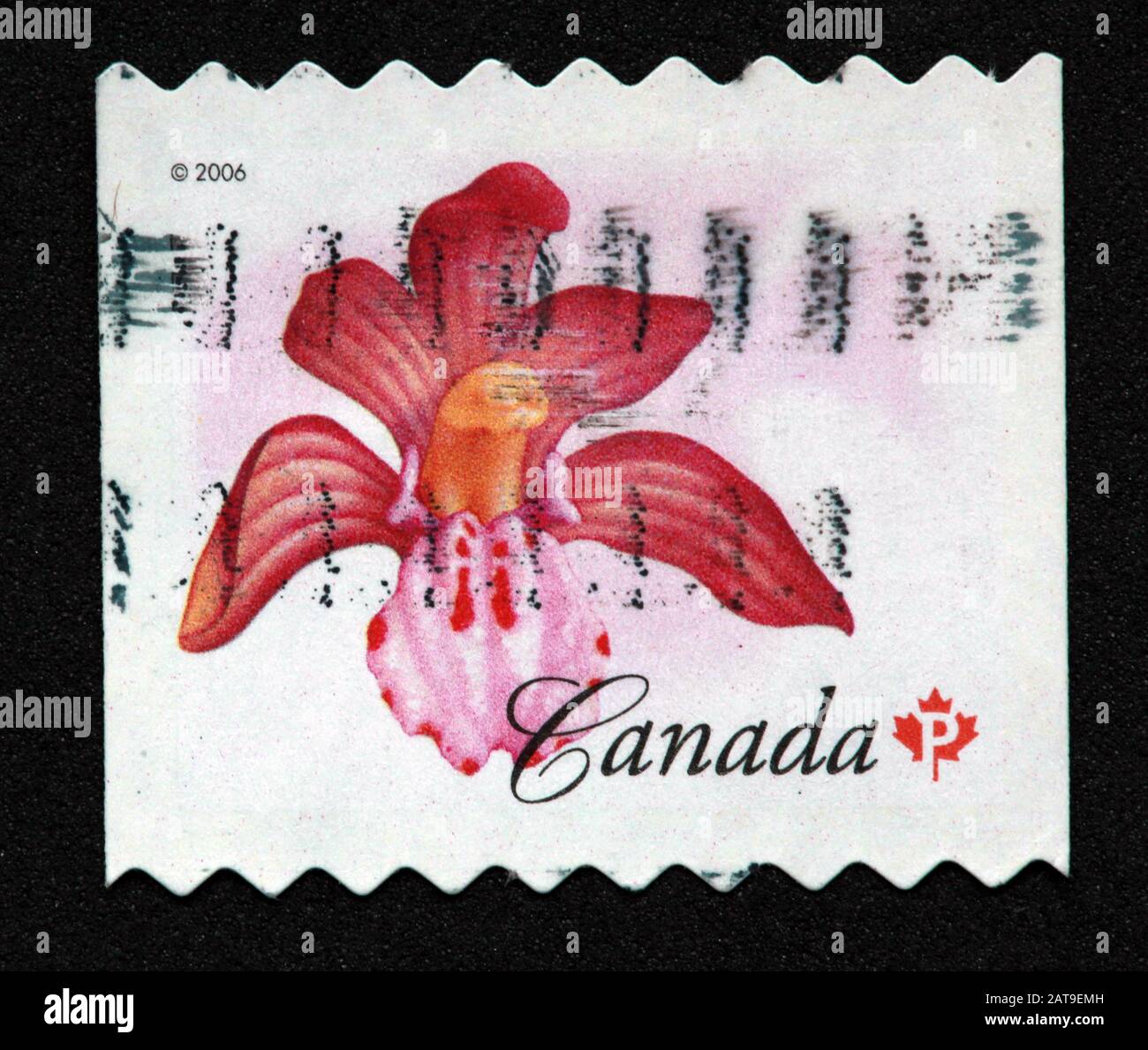 Timbre canadien, Timbre Canada, postes Canada, timbre utilisé, Canada, 2006, fleur, fleur rouge, coralroot repéré, Corallorhiza maculata Banque D'Images