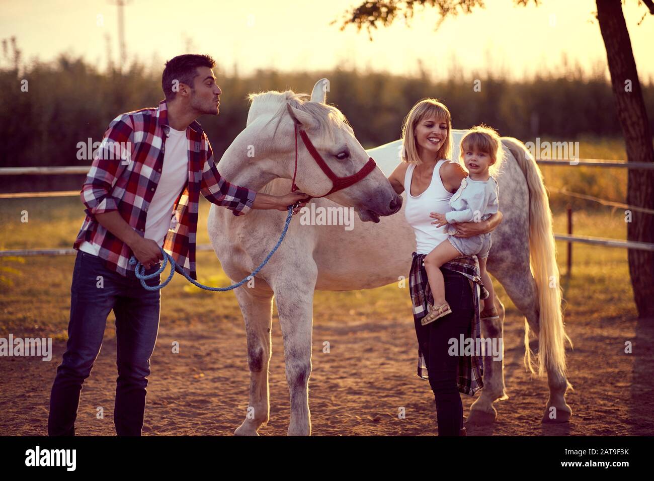 Maman et papa montrant le cheval à une petite fille, famille heureuse. Divertissement sur la campagne, coucher de soleil heure d'or. Concept de la nature de la liberté. Banque D'Images
