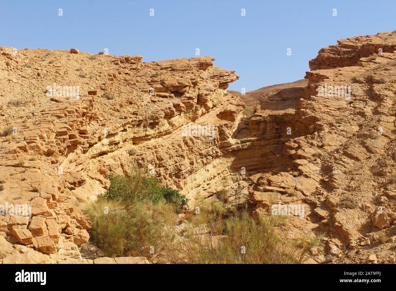 Photos du Parc National de Dghoumes dans la région de Tozeur au sud-ouest de la Tunisie (Sahara de Tunisie) Banque D'Images