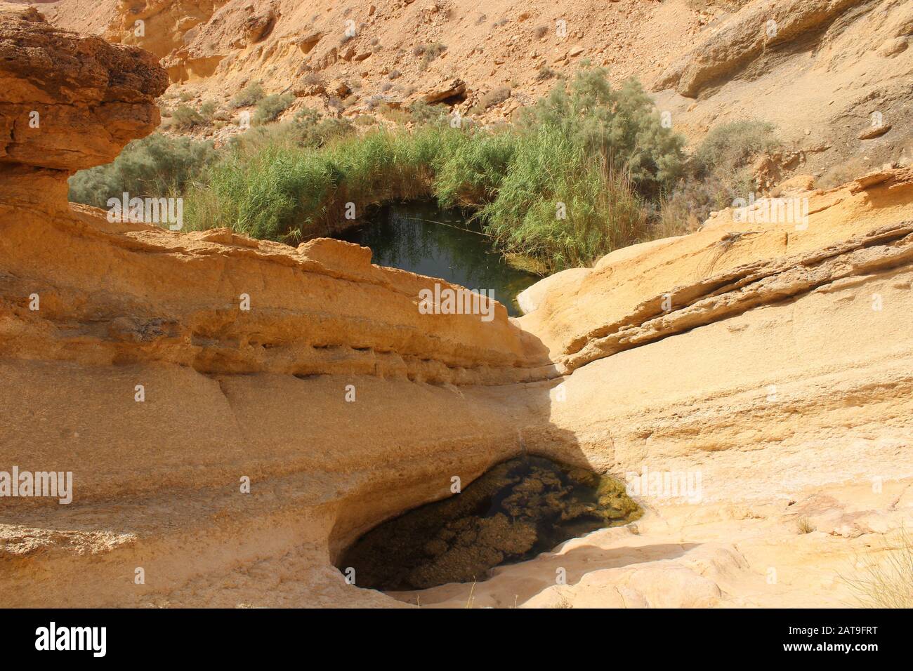 Photos du Parc National de Dghoumes dans la région de Tozeur au sud-ouest de la Tunisie (Sahara de Tunisie) Banque D'Images