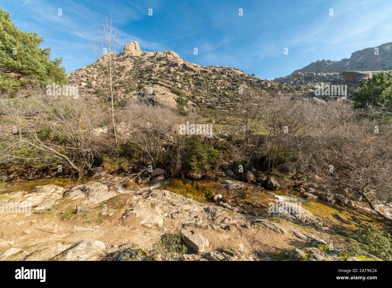 Vue imprenable sur la forêt avec les arbres, la rivière Manzanares et, à distance, les montagnes de granit accidentées de la région de la Pedriza à l'intérieur de la Sierra de Guadarrama Banque D'Images