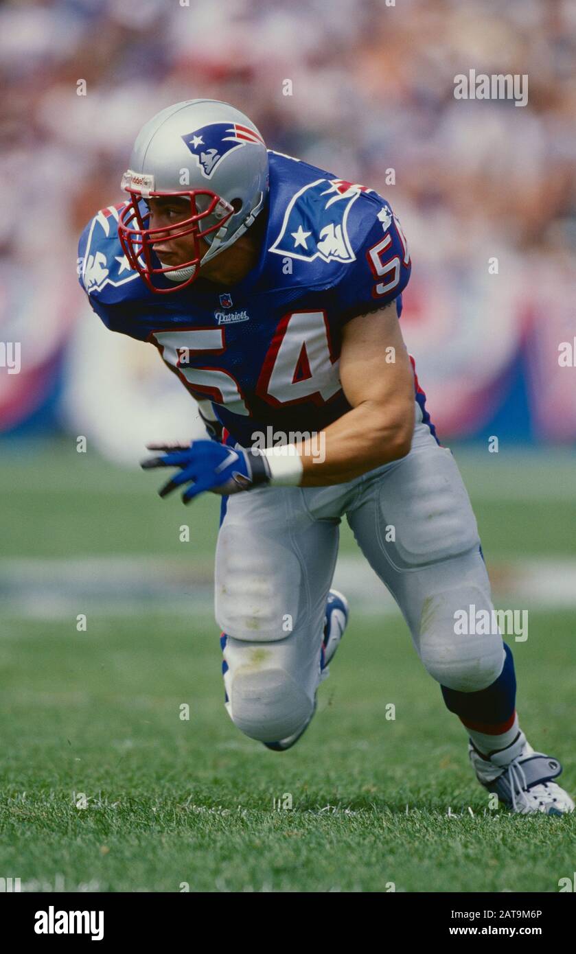 Teddy Bruschi des Patriots de la Nouvelle-Angleterre Banque D'Images