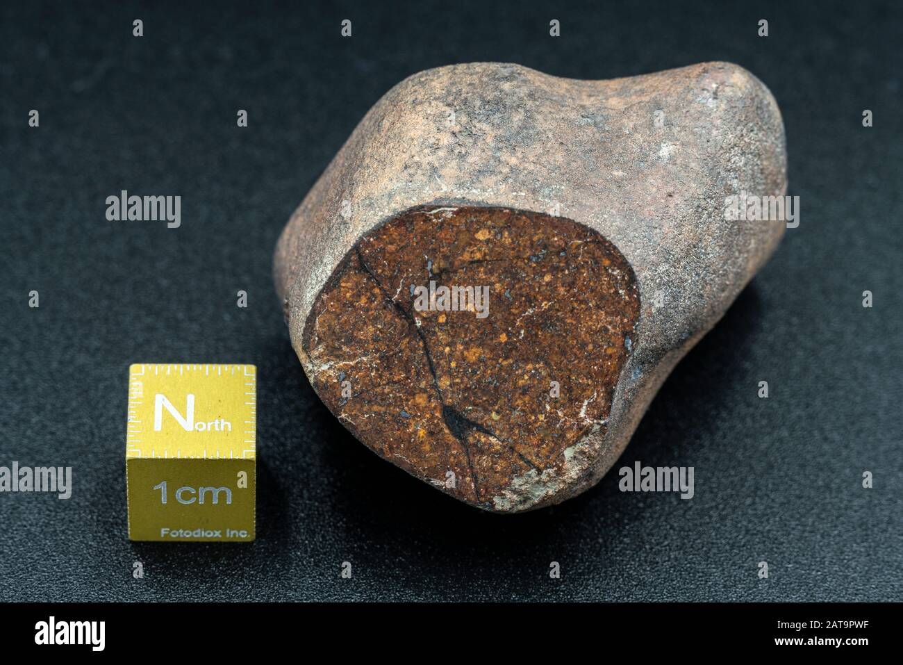 Météorite chondrite L6W2 Type isolé, morceau de roche formé comme astéroïde dans l'univers à pendant la création du système solaire Banque D'Images
