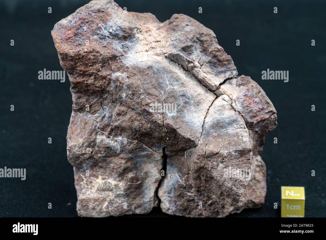 Météorite chondrite L6W2 Type isolé, morceau de roche formé comme astéroïde dans l'univers à pendant la création du système solaire Banque D'Images