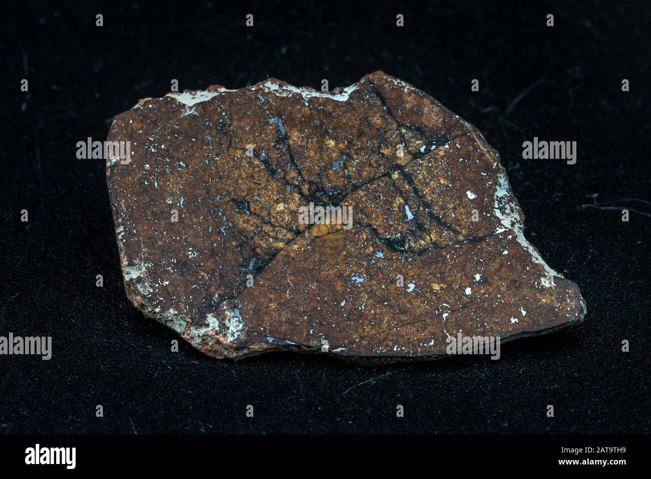 Une tranche interne de type L de météorite chondrite isolée, un morceau de roche formé dans l'espace extra-atmosphérique aux premiers stades du système solaire comme astéroïdes Banque D'Images