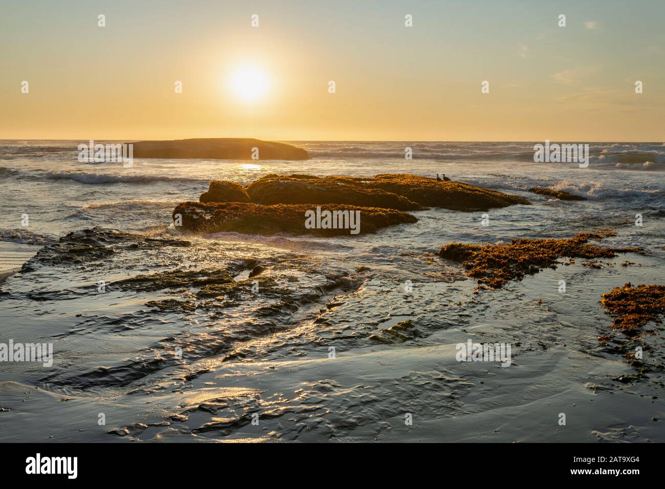 Une vue imprenable sur le coucher du soleil sur l'eau de la côte chilienne. Un paysage de plage idyllique avec la lumière du soleil illuminant les algues vertes et les rochers Banque D'Images