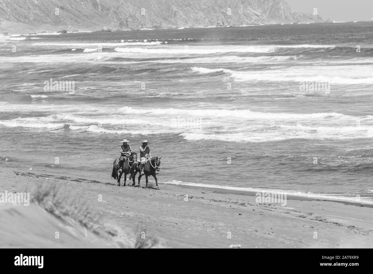 Deux hommes à cheval se promeudent sur la côte chilienne dans une plage de sable au crépuscule. Temps d'été à la plage appréciant la nature chilienne et sa plage sauvage Banque D'Images