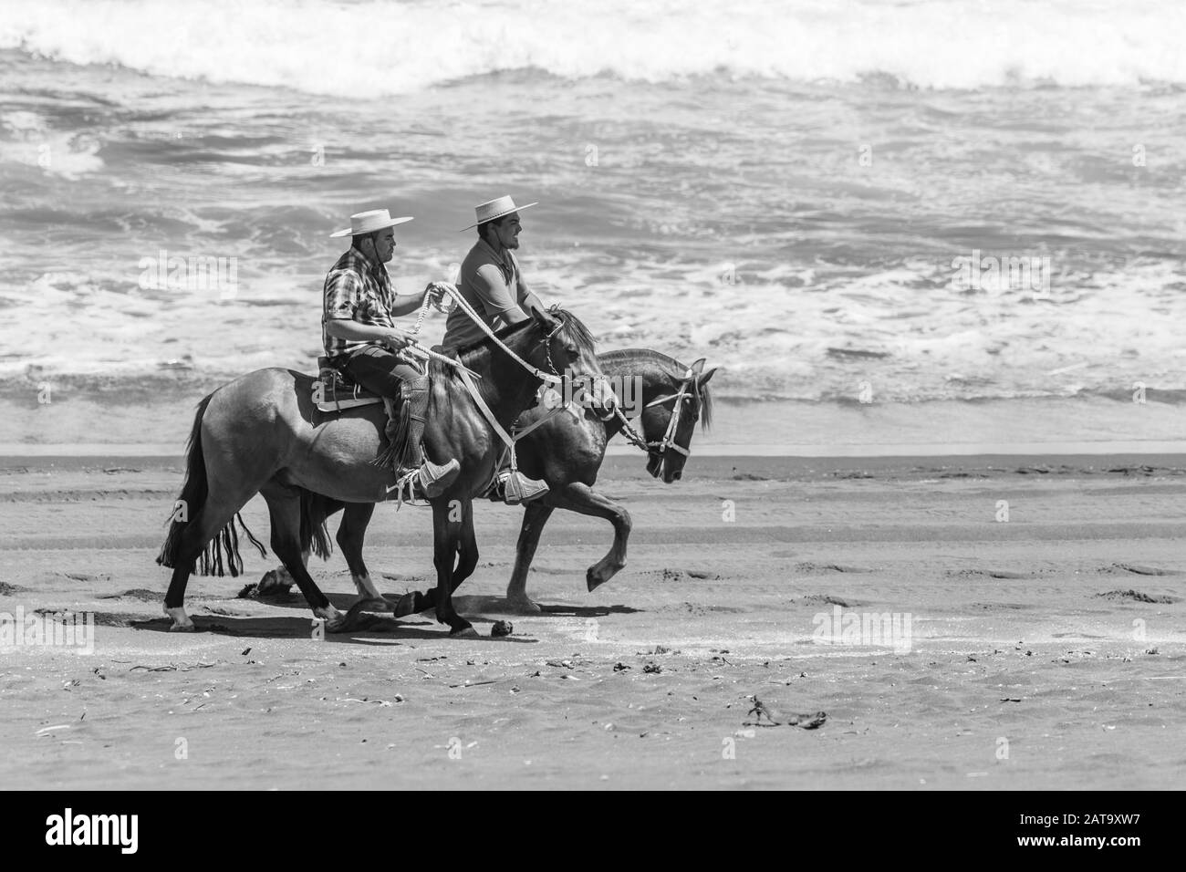 Deux hommes à cheval se promeudent sur la côte chilienne dans une plage de sable au crépuscule. Temps d'été à la plage appréciant la nature chilienne et sa plage sauvage Banque D'Images