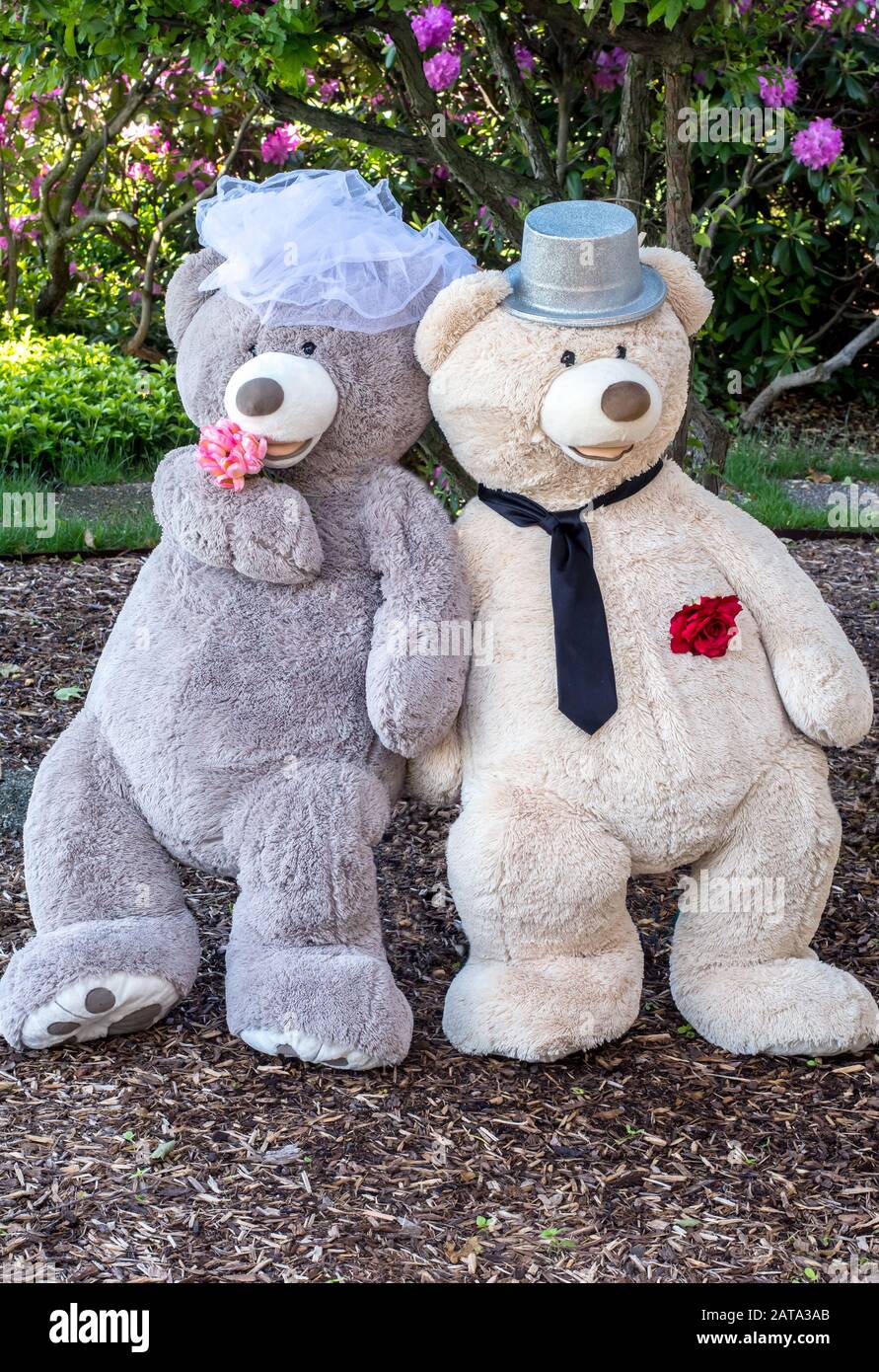 portrait complet d'un couple d'ours en peluche prêt à se marier, et habillés dans la finerie de mariage Banque D'Images