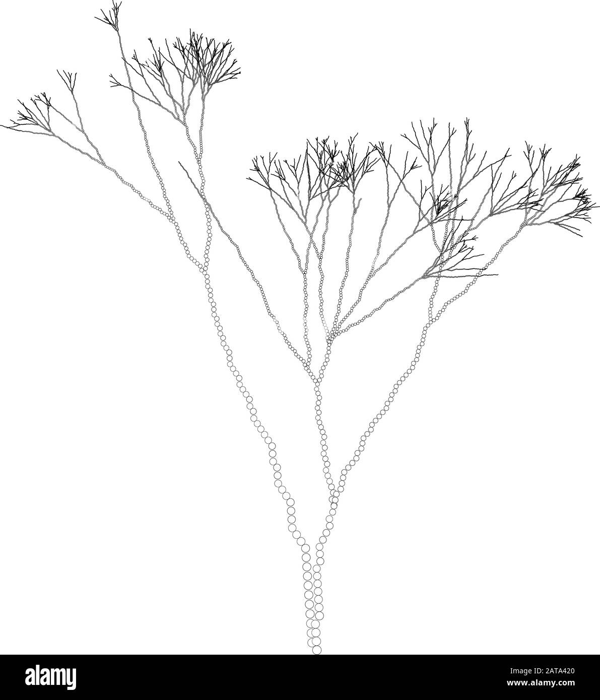 Vecteur Fractal pointillés algues branches - élément graaphique Illustration de Vecteur