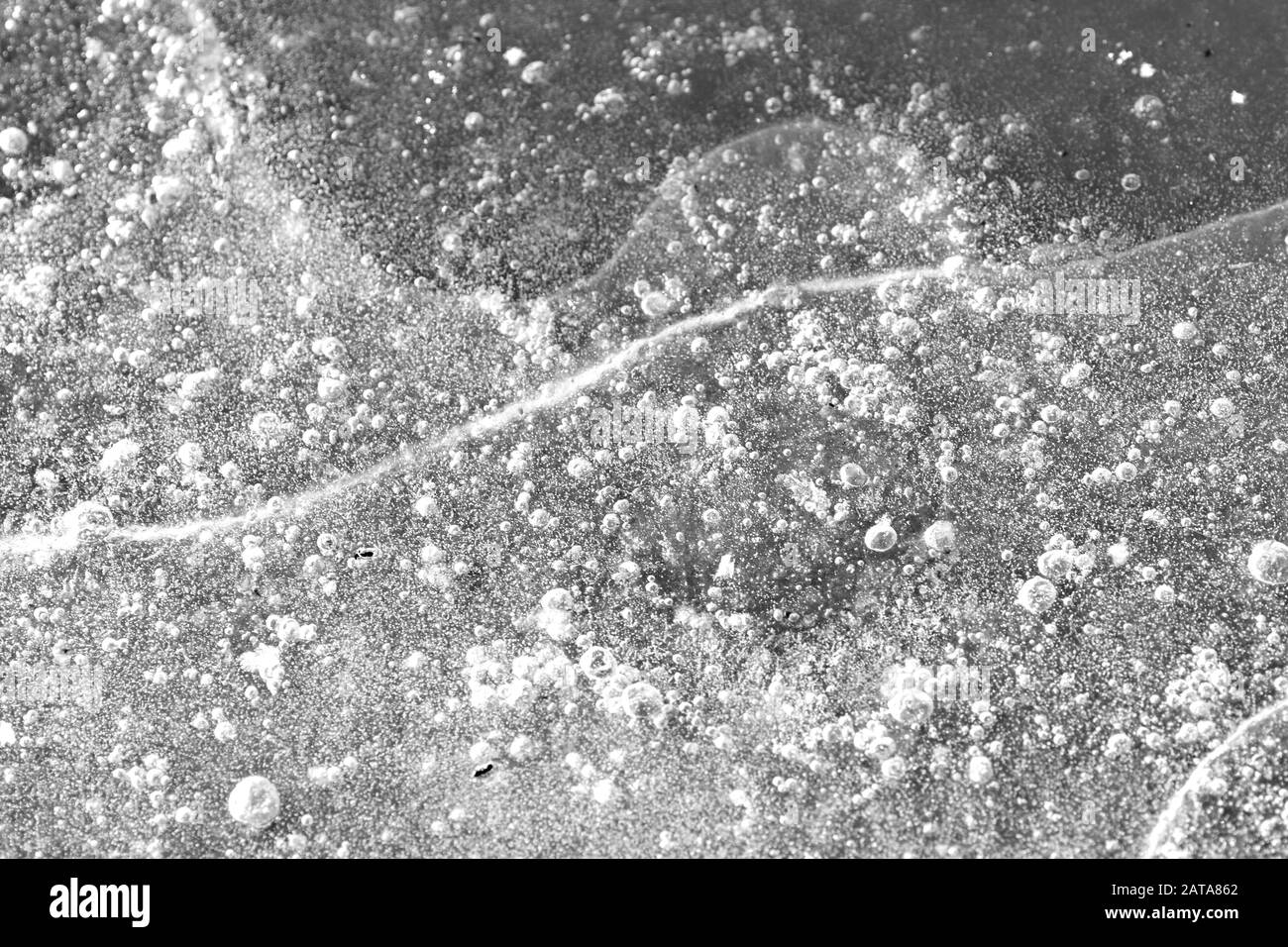 L'année dernière, l'herbe sous la glace transparente de printemps gros plan, vue de dessus. Fond abstrait naturel monochrome Banque D'Images