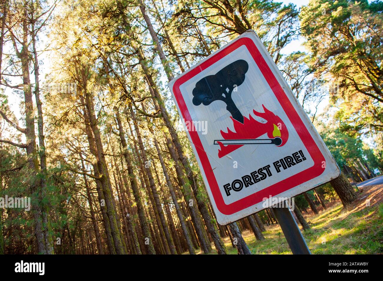Panneau d'avertissement pour feu de forêt près d'une forêt. Banque D'Images