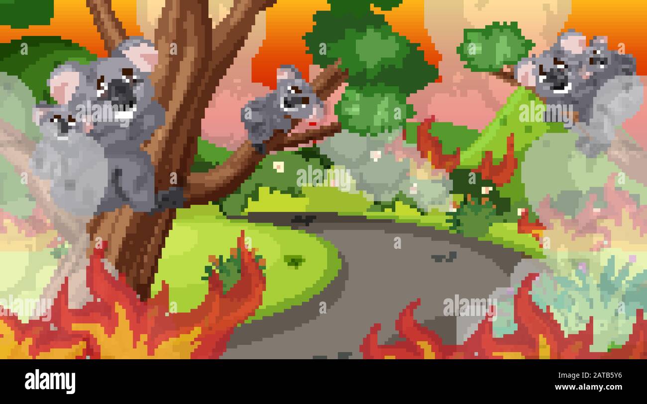 Scène avec grand feu de forêt dans la forêt et beaucoup de koalas blessés illustration Illustration de Vecteur