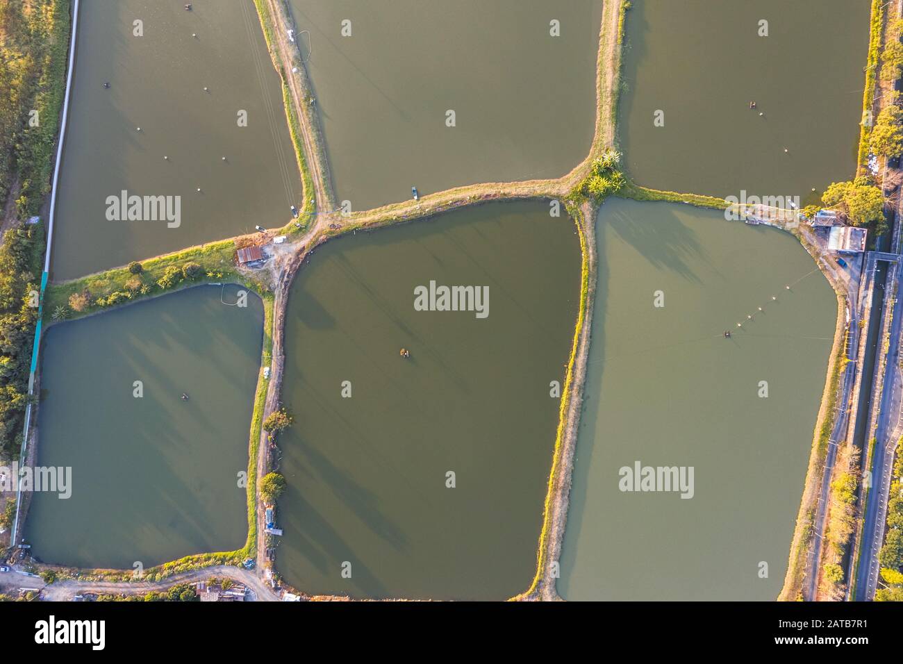 Vue aérienne étangs de poissons à la frontière de Hong Kong Banque D'Images