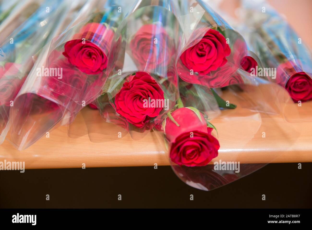Bouquet de roses rouges fond blanc espace de copie.Bouquet de rose rouge Saint-Valentin. Roses rouges dans le bouquet pour félicitations et couples amoureux de Saint-Valentin Banque D'Images