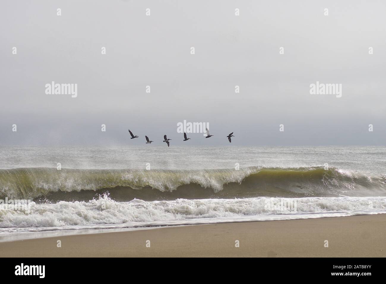 Belles Plages de l'océan des Caraïbes Parmi le Surf, les vagues et le sable de ces îles tropicales Banque D'Images