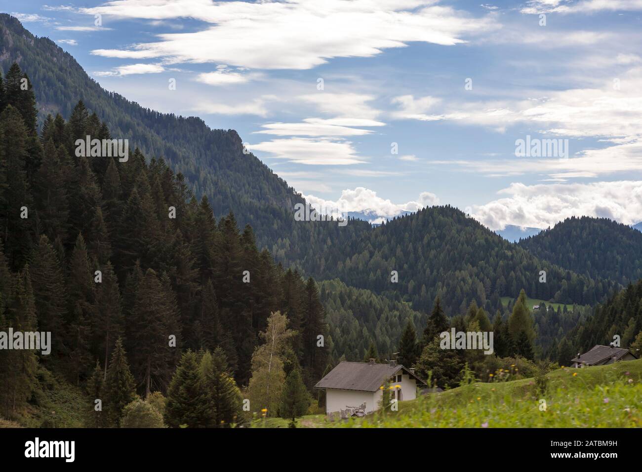 Chalets près du sommet du Passo di Cereda, Dolomites, Trentin-Haut-Adige, Italie Banque D'Images