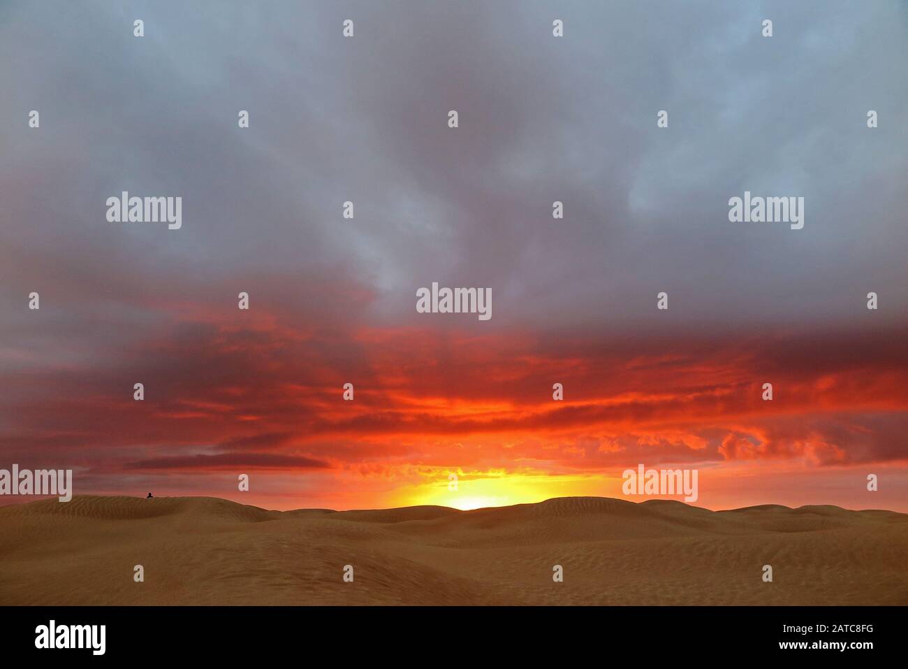Le soleil se couche dans le sable derrière les dunes du Sahara Banque D'Images