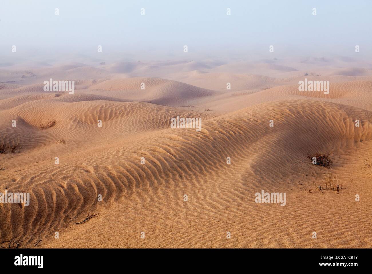 Dunes de sable du désert du Sahara à la capture de l'oeil Banque D'Images