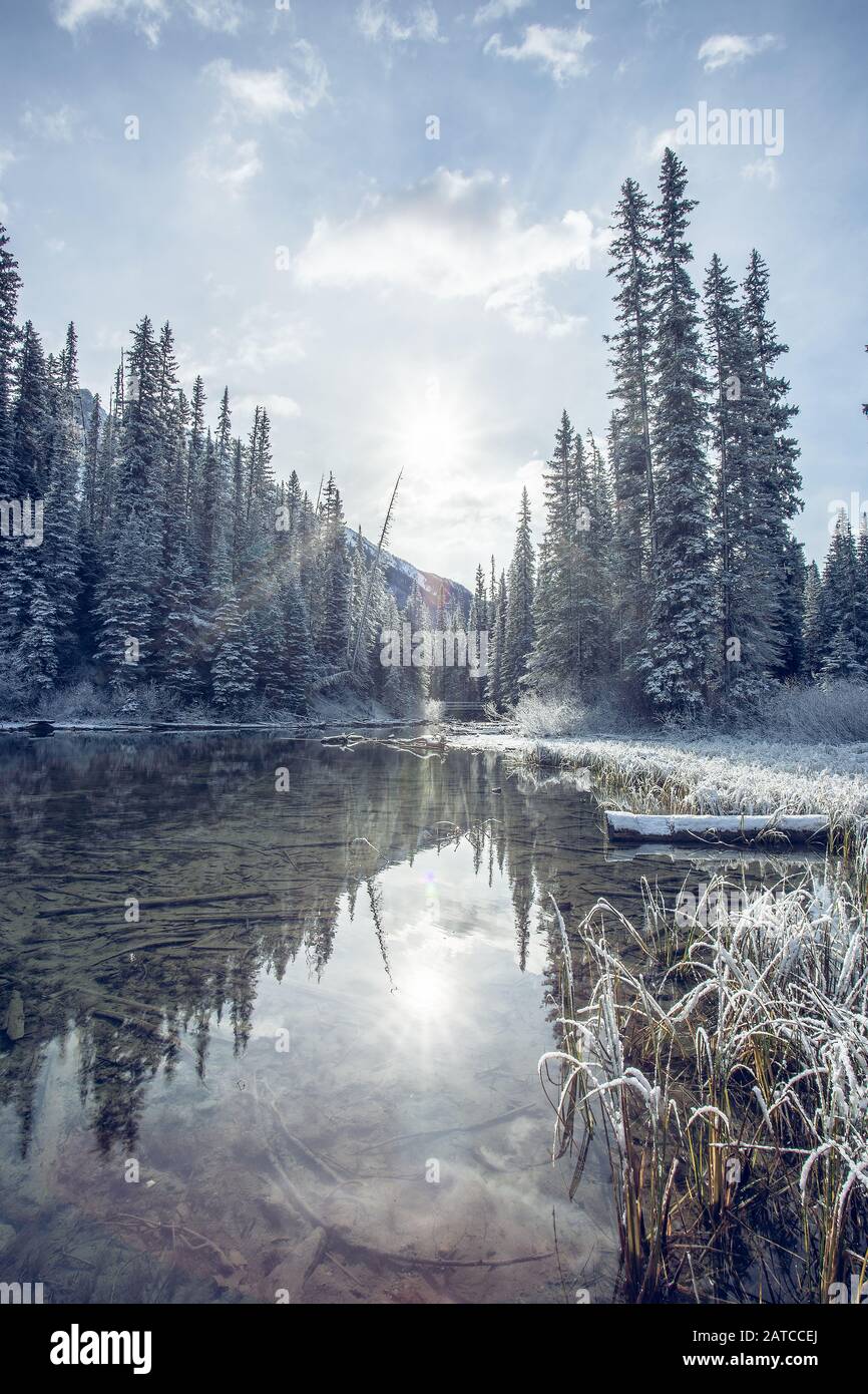 Paysage Hivernal Gelé, Emerald Lake, Banff National Park, Alberta, Canada Banque D'Images