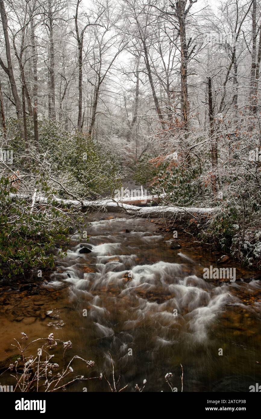 Cascade sur Avery Creek en hiver - Pisgah National Forest, près de Brevard, Caroline du Nord, États-Unis Banque D'Images
