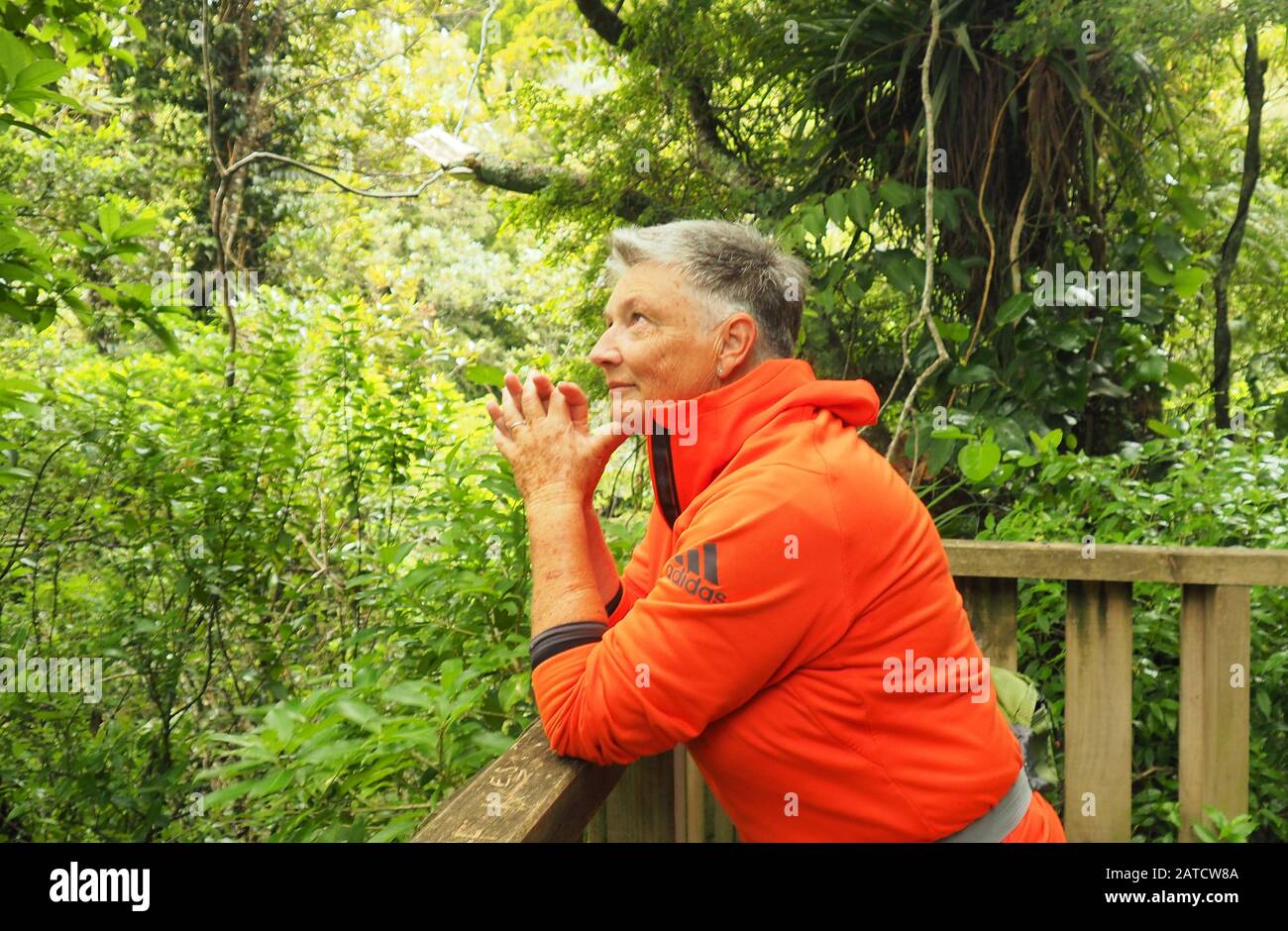 Femme d'âge moyen (63 ans) dans la réserve NZ Bush, regardant et souriant dans l'environnement Banque D'Images