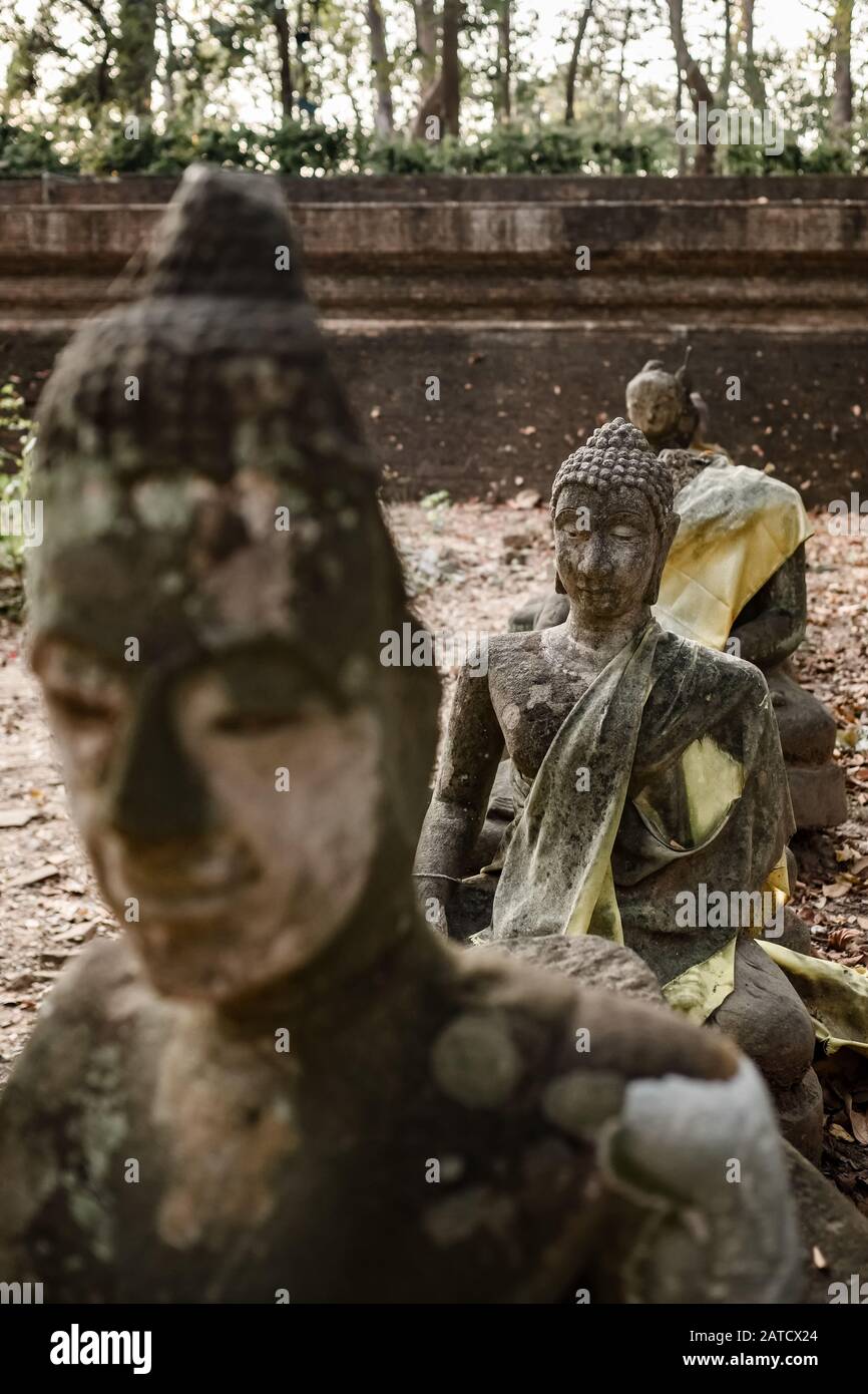 Ancient statues de Bouddha en Wat Umong temple Chiang Mai Banque D'Images