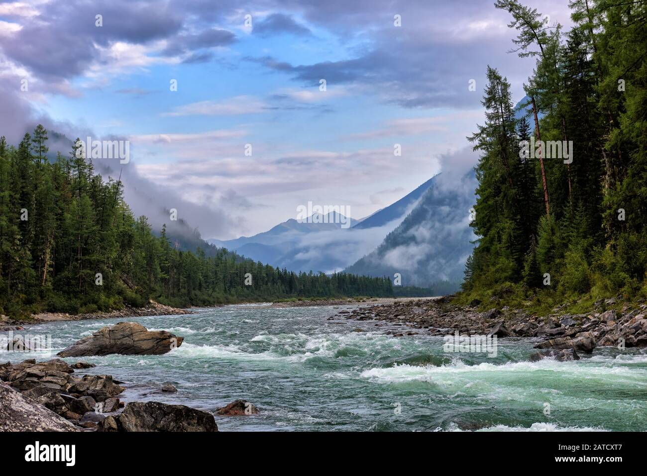 Août matin à montagne rivumet. Rivière Kitoy. Sayan De L'Est. Buryatia Banque D'Images